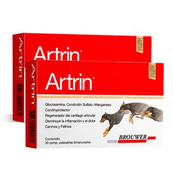 Imagen de Condoprotector ARTRIN - 60 comprimidos