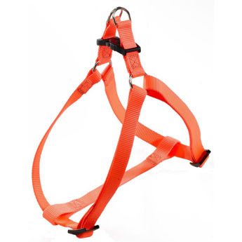 Imagen de PRETAL FERPLAST EASY P XXS NARANJA