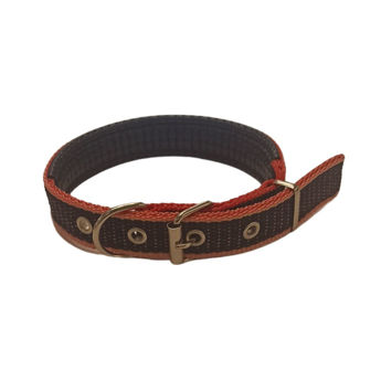 Imagen de COLLAR PARA PERRO RAVAL Nº2