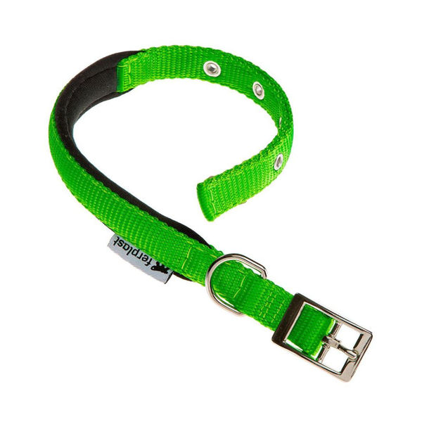 Imagen de Collar Para Perro FERPLAST Daytona C20/43 Color Verde Talle M