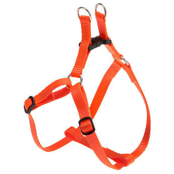 Imagen de PRETAL FERPLAST EASY P XS NARANJA