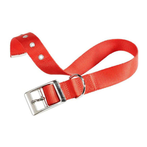 Imagen de Collar Para Perro FERPLAST Club CF20/43 Color Rojo Talle M