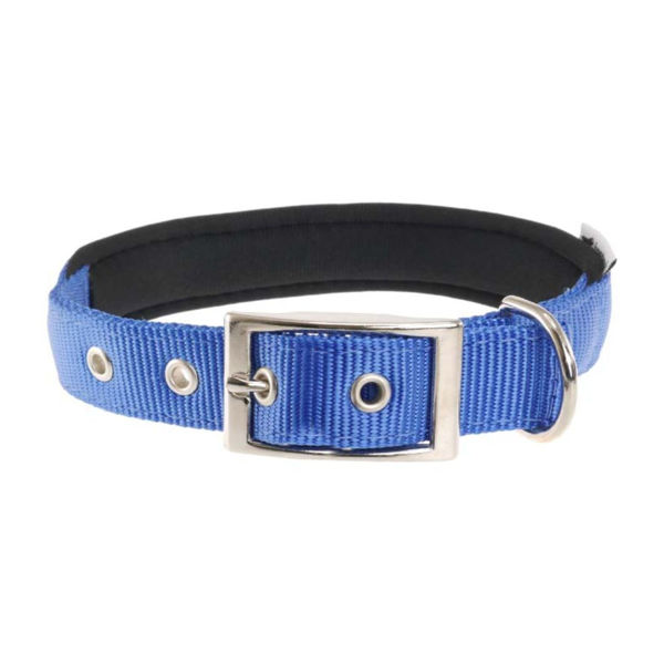 Imagen de Collar Para Perro FERPLAST Daytona C20/43 Color Azul Talle M