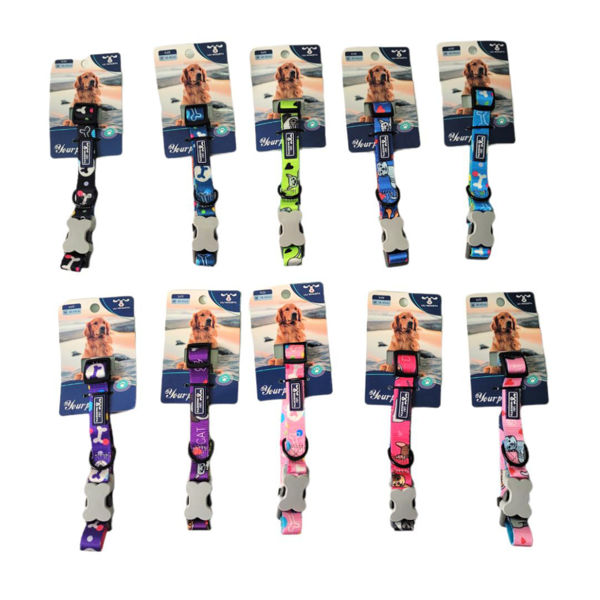 Imagen de Collar Para Perro LILI MASCOTA Diseño MD-0014 Talle S - Diseños Varios