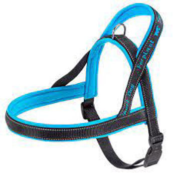 Imagen de PRETAL FERPLAST SPORT DOG P SMALL AZUL