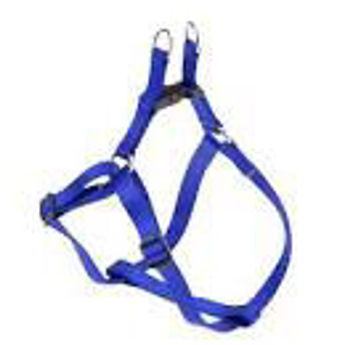Imagen de PRETAL FERPLAST EASY P XXS AZUL