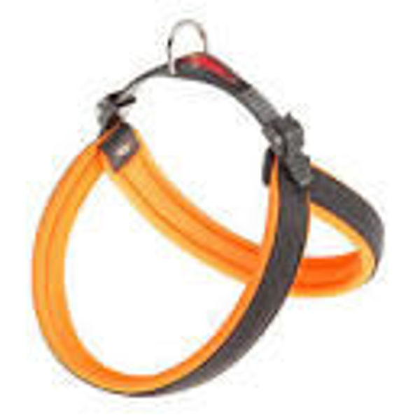 Imagen de PRETAL FERPLAST AGILA FLUO 4 NARANJA