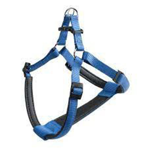 Imagen de PRETAL FERPLAST DAYTONA AZUL P EXTRA LARGE