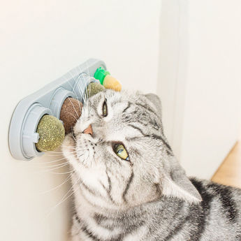 Imagen de Snack Golosina Para Gato 3+1 Spin Ball BA-1303