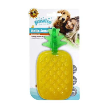 Imagen de Juguete Para Perro PAWISE Piña Plana