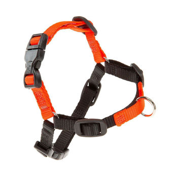 Imagen de Arnés Para Perro FERPLAST Adiestramiento Coach Color Naranja - Talle S/M
