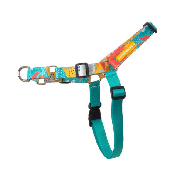 Imagen de Arnés Para Perro CACHORREIROS Antitirones Pitaya - Talle L