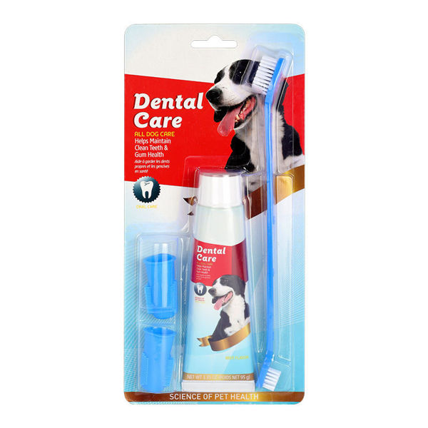 Imagen de Set Dental DENTAL CARE (Pasta + Cepillos) ABT-625