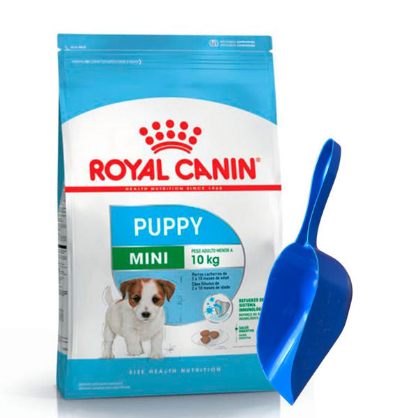 Imagen de Alimento ROYAL CANIN Perro Cachorro Raza Pequeña 3 kg + Regalo