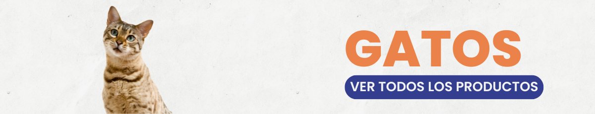 Productos para Gatos