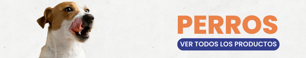 Productos para Perros
