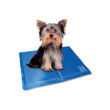 Imagen de Colchoneta Refrerscante MPETS Frozen Cooling Mat Color Azul - Talle XS
