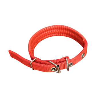 Imagen de Collar Para Perro RIMOPET Con Protección Nro 2