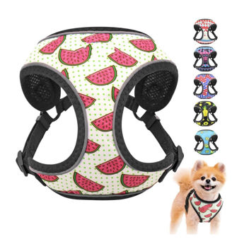 Imagen de Arnés Para Perro LILI MASCOTA Fresh Talle L