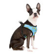 Imagen de Arnés Para Perro LILI MASCOTA Fresh Talle S - Varios Diseños