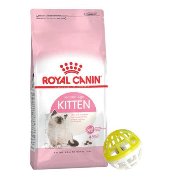 Imagen de Alimento ROYAL CANIN Gato Kitten 1,5 kg + Regalo