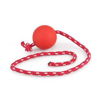 Imagen de Juguete Para Perro LILI MASCOTA Pelota Maciza Con Cuerda 5.5 cm