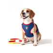 Imagen de Arnés Para Perro FREEFARO Air Recreio Talle P