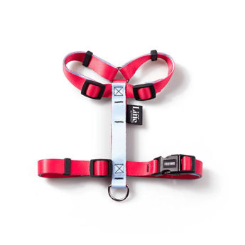 Imagen de Arnés H Para Perro FREEFARO Imaginario Talle G