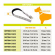 Imagen de Collar Para Perro FERPLAST Daytona C25/45 Marrón