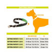 Imagen de Collar Para Perro FERPLAST Daytona Fantasy C25/53 Fucsia