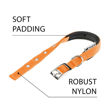 Imagen de Collar Para Perro FERPLAST Daytona C25/45 Naranja