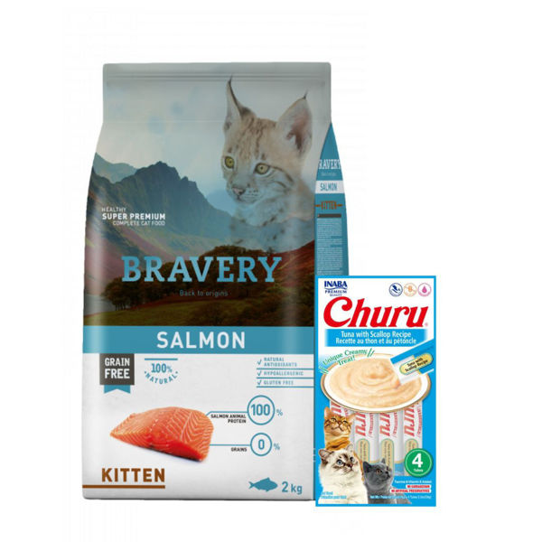 Imagen de Alimento BRAVERY Gato Cachorro Kitten Sabor Salmón 2 kg + Regalo