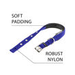 Imagen de Collar Para Perro FERPLAST Daytona C40/69 Azul