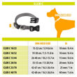 Imagen de Collar Para Perro FERPLAST Club C10/32 Gris