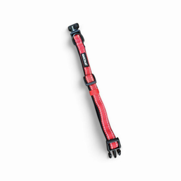 Imagen de Collar Para Perro COOLBUD Reflectivo Talle S