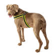 Imagen de Arnés Para Perro FERPLAST Agila Fluo 8 Amarillo