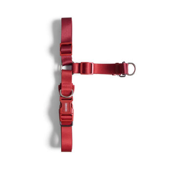 Imagen de Arnés Para Perro FREEFARO Pepper Anti Tirón G