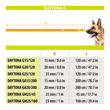 Imagen de Correa Para Perro FERPLAST Daytona G25/120 Gris