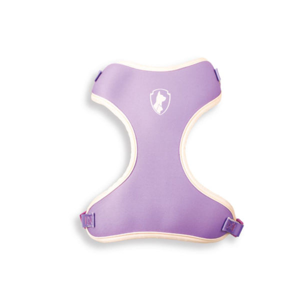 Imagen de Arnes Air Aurora Talle P