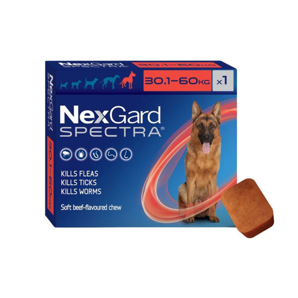 Imagen de Antiparasitario Interno y Externo NEXGARD SPECTRA 30 a 60 kg - 1 Comprimido