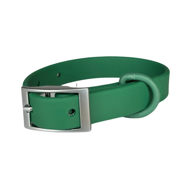 Imagen de Collar Para Perro PEPITO Talle S Verde