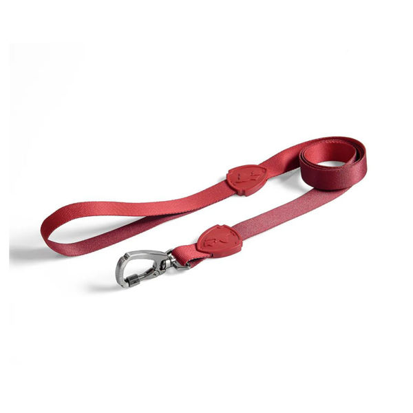 Imagen de Correa Para Perro FREEFARO Pepper Tradicional 1.2 mts Talle M