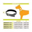 Imagen de Collar Para Perro FERPLAST Greener Soft C25/53 Naranja
