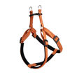 Imagen de Arnés Para Perro FERPLAST Greener Soft P XL Naranja
