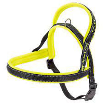 Imagen de PRETAL FERPLAST SPORT DOG XS-S AMARILLO