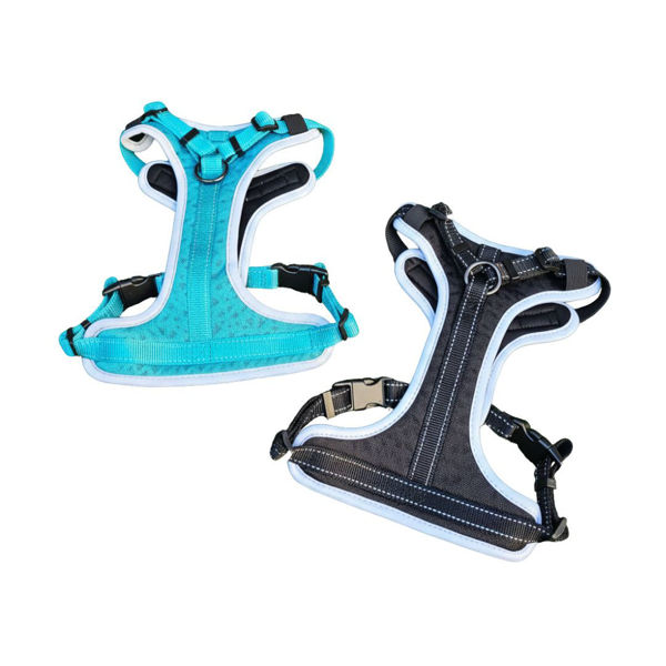 Imagen de Arnés Para Perro LILI MASCOTA Supet Talle L ABTK-653