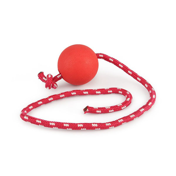 Imagen de Juguete Para Perro LILI MASCOTA Pelota Maciza Con Cuerda 7.2 cm