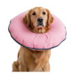 Imagen de Collar Isabelino LILI MASCOTA Inflable Talle M