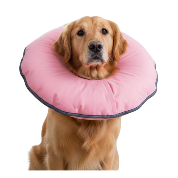 Imagen de Collar Isabelino LILI MASCOTA Inflable Talle M