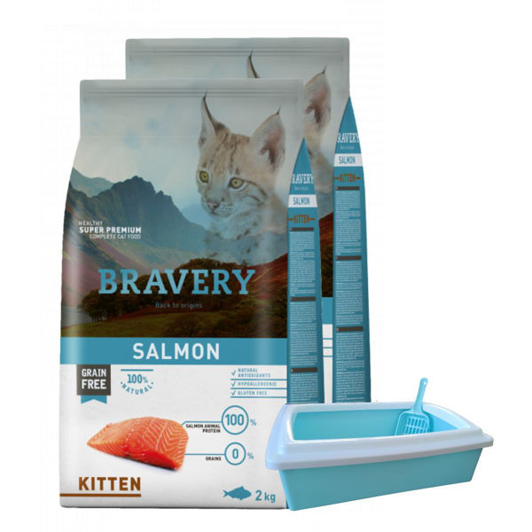 Imagen de Alimento BRAVERY Gato Cachorro Kitten Sabor Salmón 4 kg + Regalo